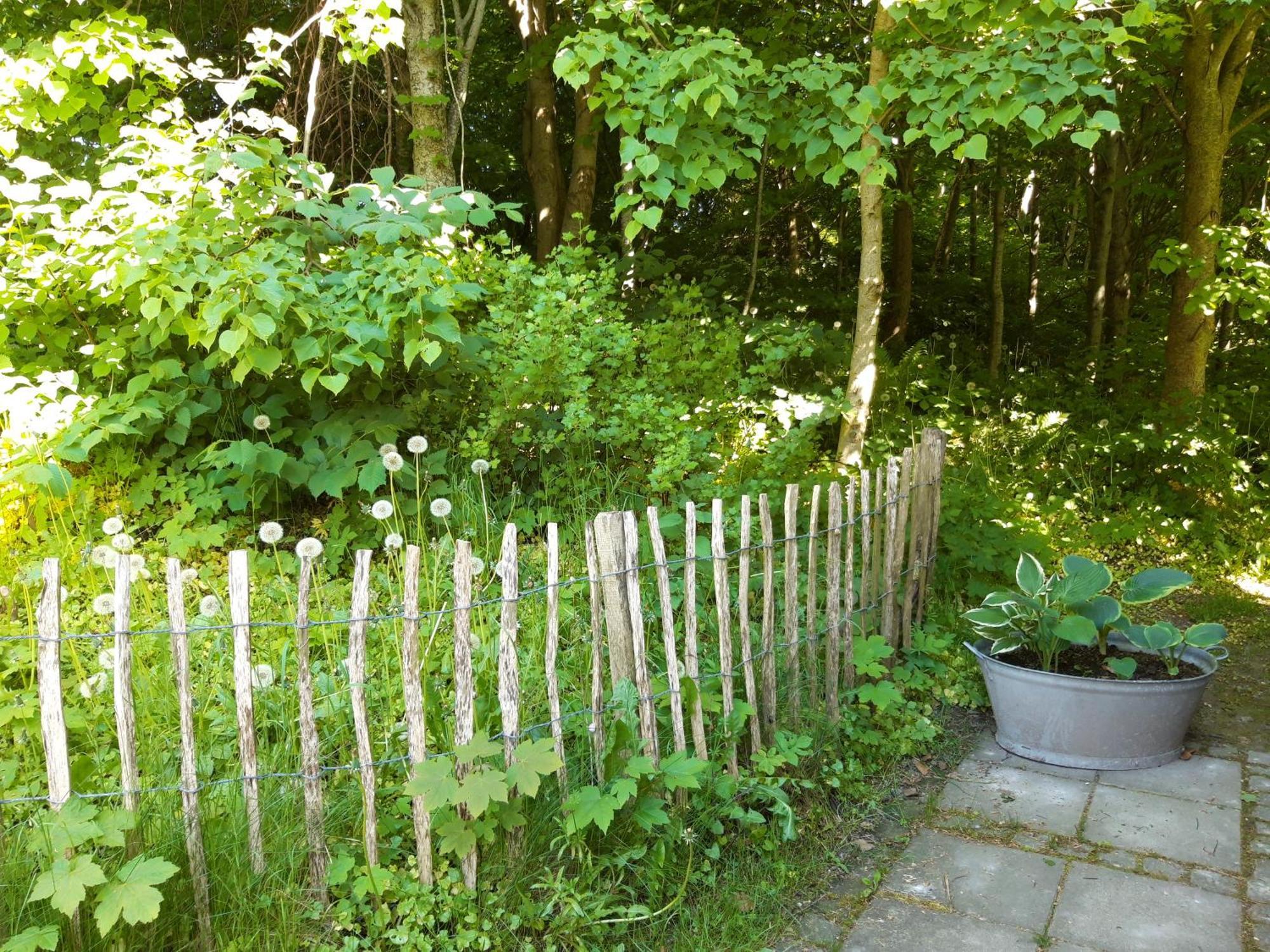 Krogsgaarden B&B Nibe Exterior photo